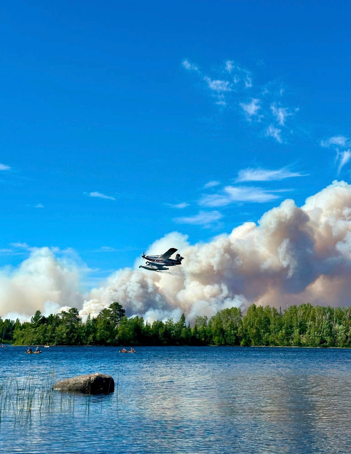 Wildfire Relief Collection